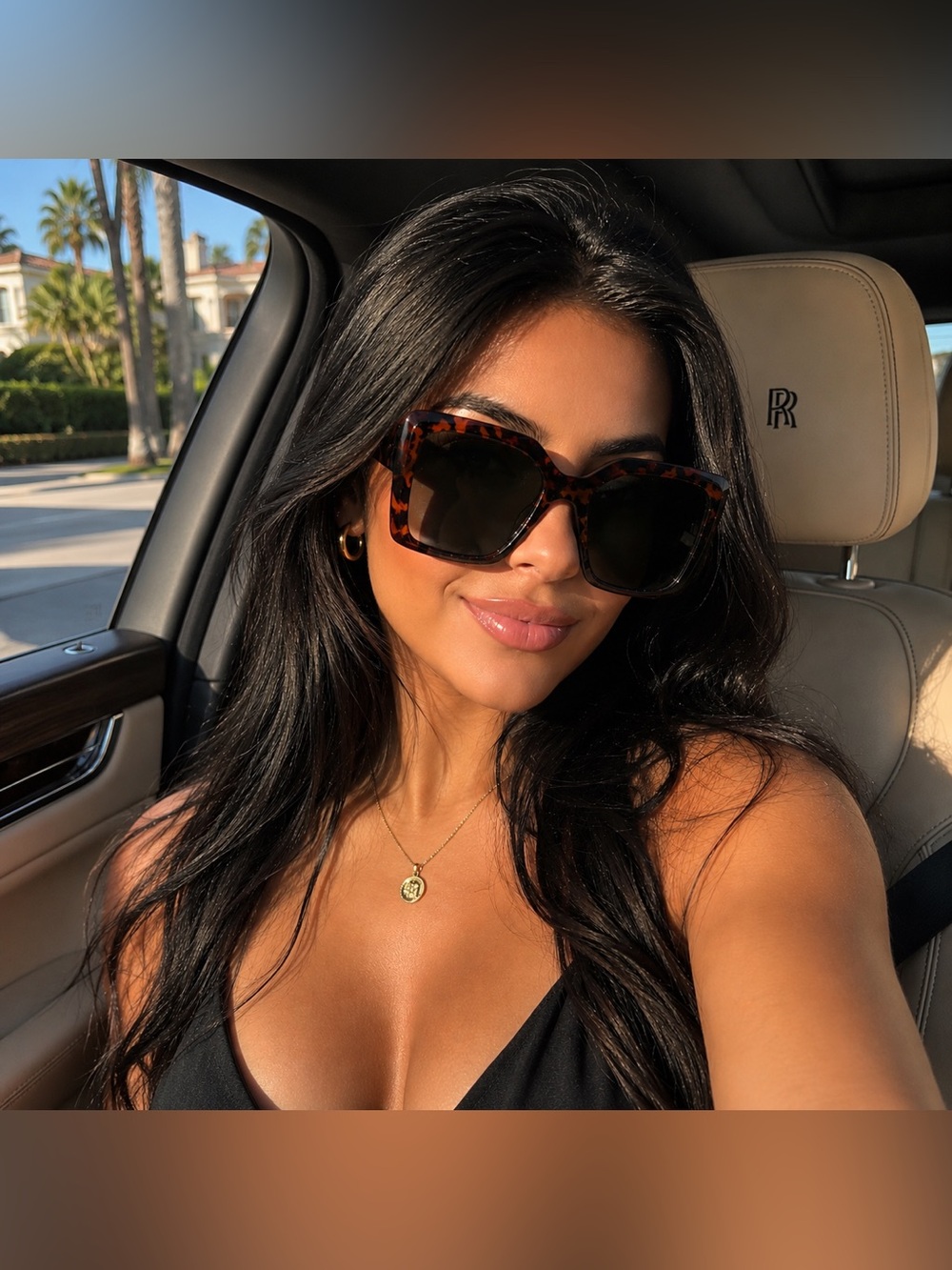 BROWN SUNGLASSES
